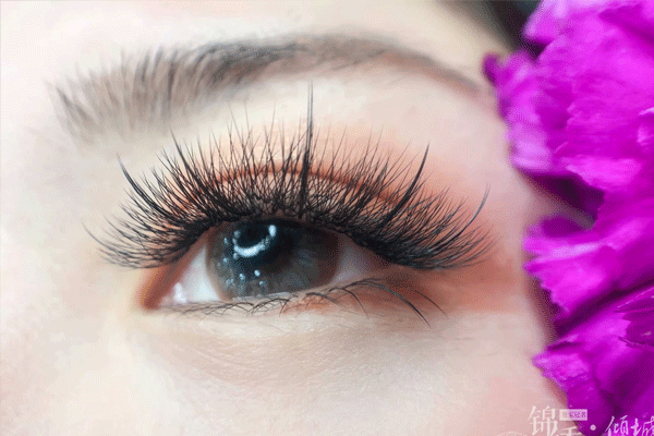 1623118620760475.gif 未標題-2.gif